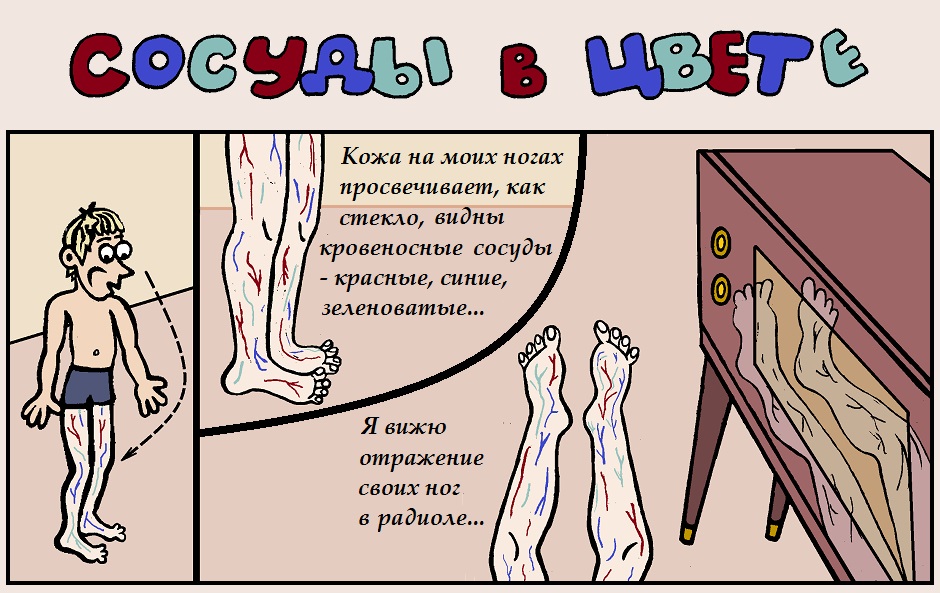 Сосуды в цвете