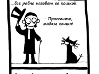 Превью выпуска №17