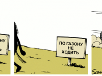 Превью выпуска №180