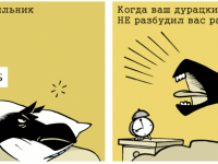 Превью выпуска №196