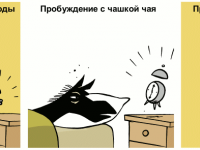 Превью выпуска №210