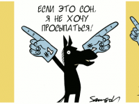 Превью выпуска №218