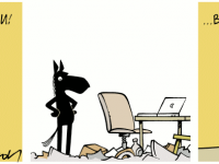 Превью выпуска №220