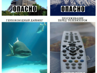 Превью выпуска №222