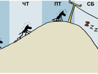 Превью выпуска №244