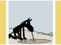 Превью выпуска №249