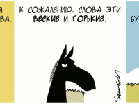 Превью выпуска №250