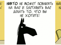 Превью выпуска №255