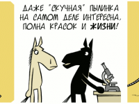 Превью выпуска №289