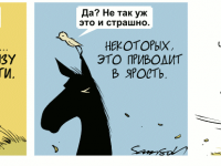 Превью выпуска №307