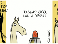 Превью выпуска №338