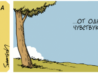 Превью выпуска №339