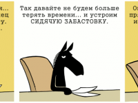 Превью выпуска №341