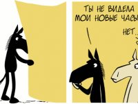 Превью выпуска №344