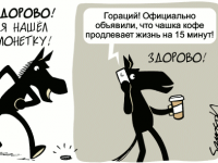 Превью выпуска №346