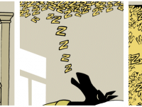 Превью выпуска №357