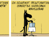 Превью выпуска №412