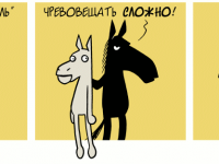 Превью выпуска №426