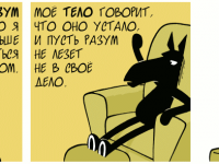 Превью выпуска №429