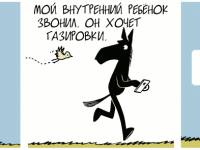 Превью выпуска №443