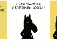 Превью выпуска №455