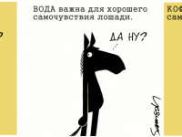 Превью выпуска №487