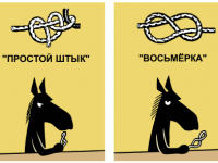 Превью выпуска №535