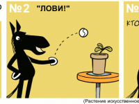 Превью выпуска №538