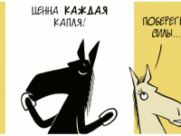 Превью выпуска №565