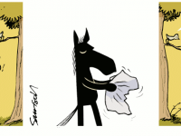 Превью выпуска №566