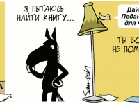 Превью выпуска №567