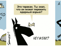 Превью выпуска №568