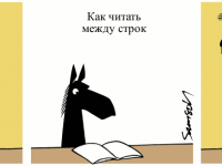 Превью выпуска №577