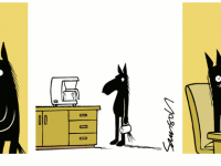 Превью выпуска №579