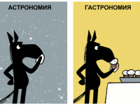 Превью выпуска №621