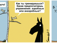 Превью выпуска №627