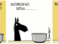 Превью выпуска №639