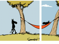 Превью выпуска №642