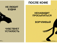 Превью выпуска №676