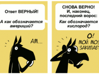 Превью выпуска №685