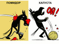 Превью выпуска №686