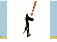 Превью выпуска №710