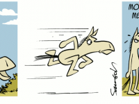 Превью выпуска №733