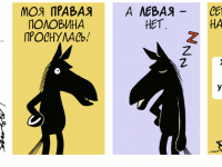 Превью выпуска №748
