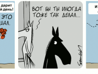 Превью выпуска №786