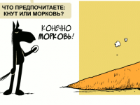 Превью выпуска №795