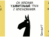 Превью выпуска №797