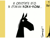 Превью выпуска №804