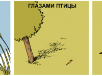 Превью выпуска №812