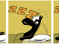 Превью выпуска №813